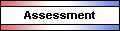 Assessment